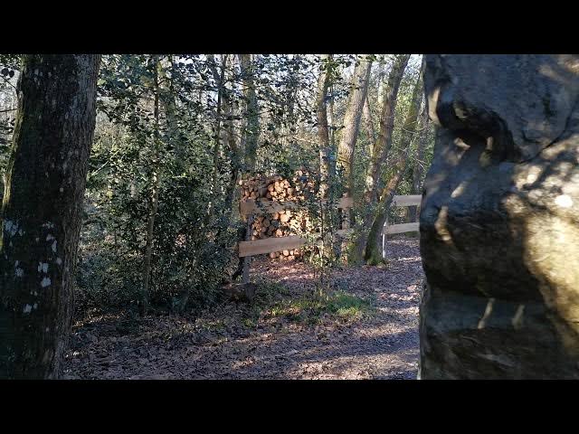 Video thumbnail for Menhir de la  Filoussière au  Thoureil