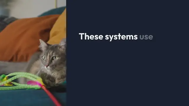 'Video thumbnail for Pet Friendly Alarms Systems: Home Safety'