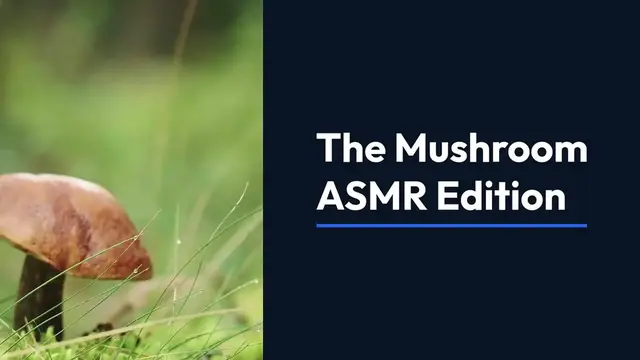 Video thumbnail for The Mushroom ASMR Edition: A Fungi Adventure for Your Ears