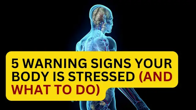 'Video thumbnail for 5 Warning Signs Your Body Is Stressed (and What to Do)'