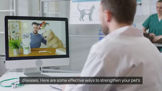 Video thumbnail for Pet Immune System Boosters