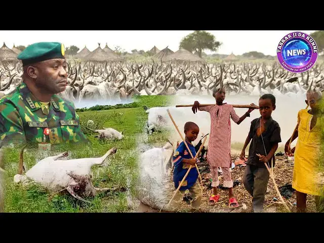 Video thumbnail for SHANU 20