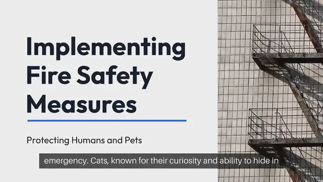 Video thumbnail for Cat Fire Safety Measures