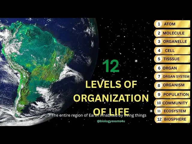 'Video thumbnail for 12 Levels of Organization of Life in Ecology? in 4 Minutes'