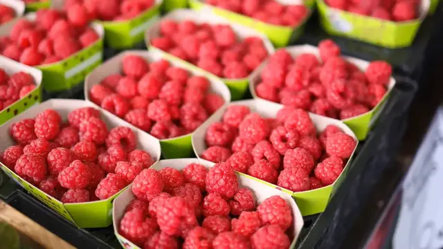 'Video thumbnail for 15 Best Fruits for Diabetics: Smart Choices for Blood Sugar Control'