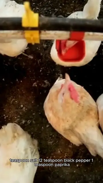 Video thumbnail for fried chicken tenders recipe