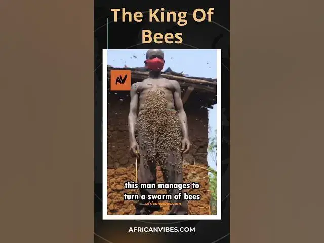 Video thumbnail for The king of bees in Rwanda🔥