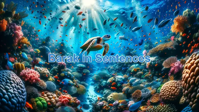 Video thumbnail for Barak In Sentences, Example of Barak In Sentences