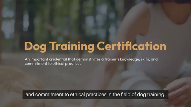 Video thumbnail for Dog Training Certification