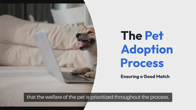 Video thumbnail for Pet Adoption Process