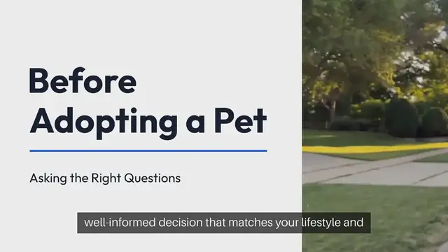 Video thumbnail for Questions to ask before adopting a pet