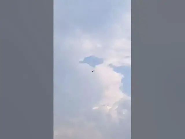 Video thumbnail for RC Foam Fighter MIG-29 Airplane Toy For Kids #shorts #ytshorts