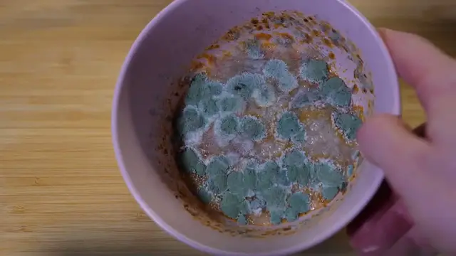 Video thumbnail for The Art and Science of Food Storage: Keeping Your Snacks Safe and Sound