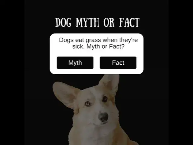 Video thumbnail for Unraveling Dog Myths 🐶: Fact or Fiction?
