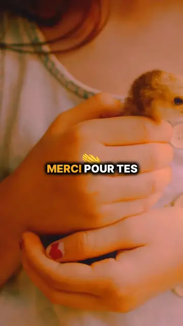 Video thumbnail for Prière simple seigneur