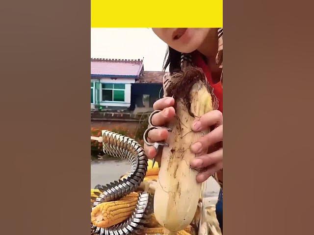 Video thumbnail for Agriculture Farming #agriculturefarming #Specialmenu