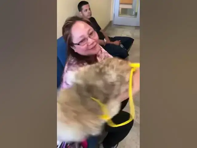 Video thumbnail for Noah got lost  for 3 days.