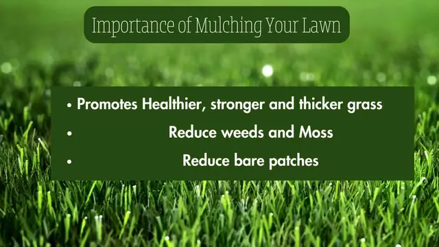 Video thumbnail for Importance of Mulching Your Lawn