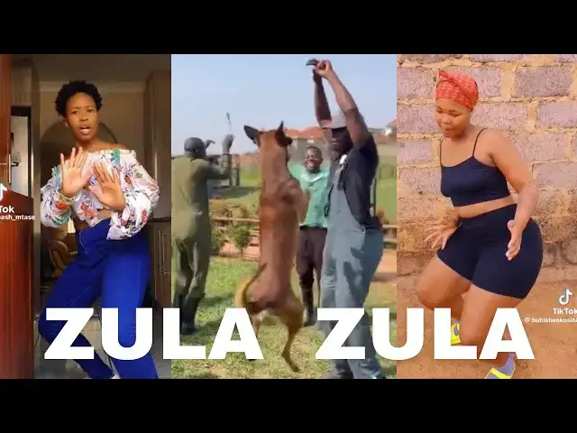 'Video thumbnail for UNCHALLENGING ZULA ZULA DANCE CHALLENGE'
