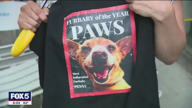 Video thumbnail for Service dog attacked by pit bulls