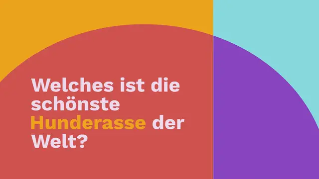 Video thumbnail for Schöne Hunde: 21 Schönste Hunderassen der Welt (+ Bilder)