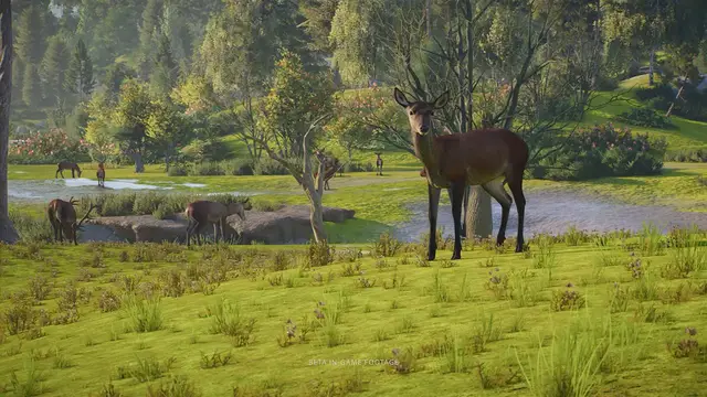 Video thumbnail for Planet Zoo 2 - Official Wildlife Reserves Teaser Trailer