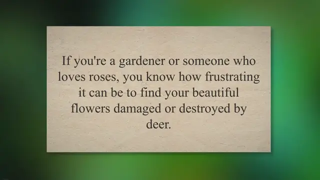 Video thumbnail for The Ultimate Guide to Homemade Deer Repellent For Roses