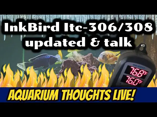 Video thumbnail for Inkbird Itc-306 itc-308 Update Fix & Hangout - Aquarium Thoughts LIVE! #2015