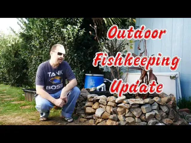 Video thumbnail for Pond and Outdoor Fishkeeping Update