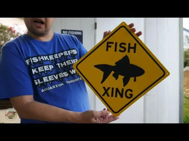 Video thumbnail for Aquarium Thoughts Unboxing - Fish Crossing Sign