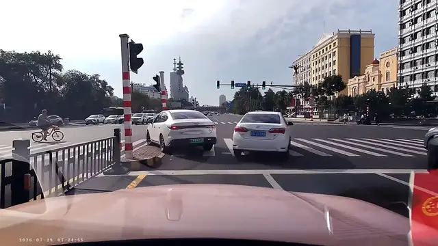 Video thumbnail for Car Crashes into Pedestrian Light After Early Turn in China