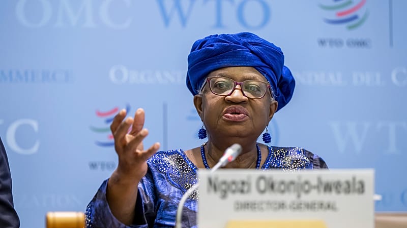 Video thumbnail for WTO director-general says world order has changed irrevocably