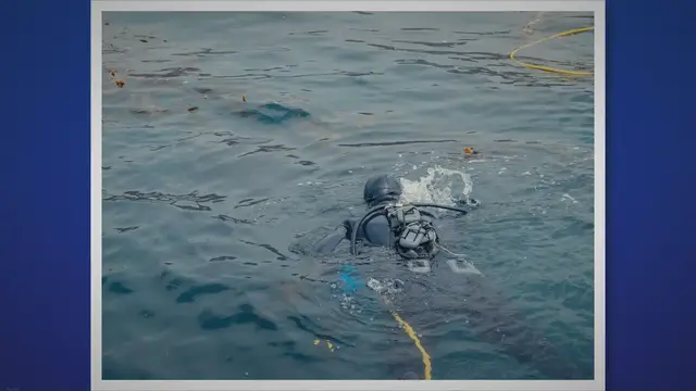 Video thumbnail for Discover the Enchanting Diving Island: A Paradise for Underwater Explorers