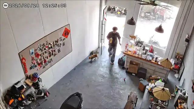 Video thumbnail for Cat's Head Gets Trapped in Store Door in Guangdong