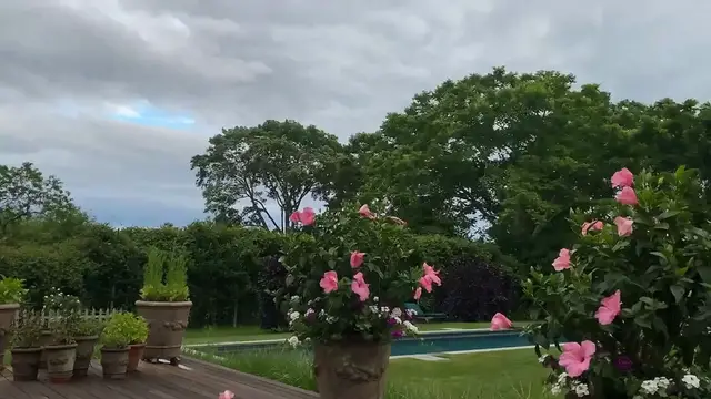 Video thumbnail for Texas Native Shrubs