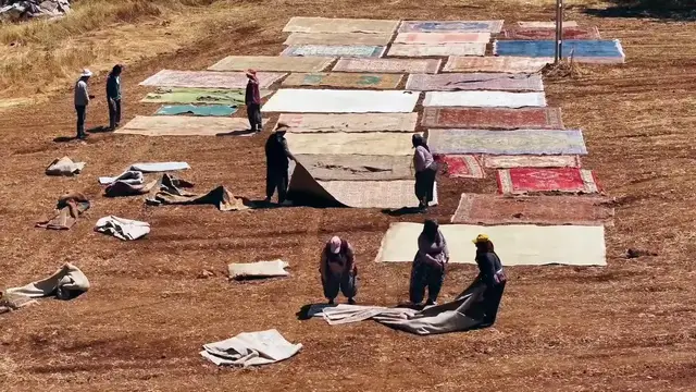 Video thumbnail for Türkiye: Colorful carpets spread across harvested fields in Türkiye's Antalya.