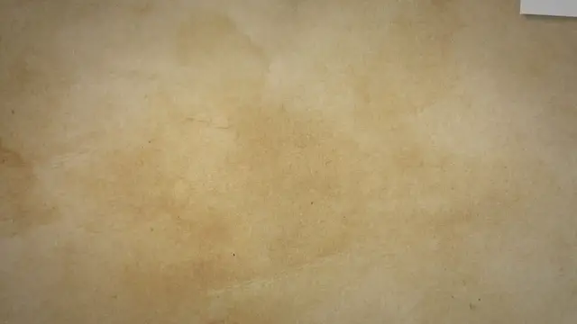 Video thumbnail for Understanding Hedgehog Temperament: A Comprehensive Guide