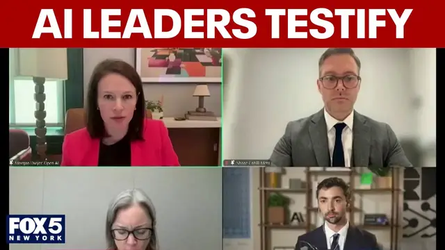 Video thumbnail for Tech giants grilled as NYC proposes AI "kill switch" law