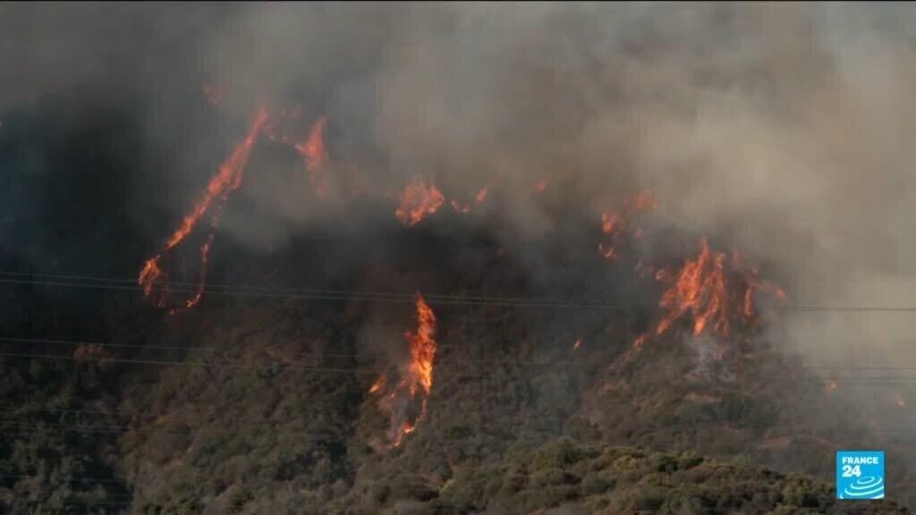 Video thumbnail for United States: Los Angeles fire suspect had grudge against wealthy