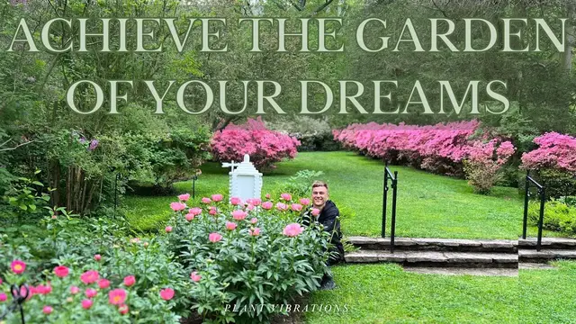 Video thumbnail for Create the Garden of Your Dreams with these Plant Recommendations - It's Easier than You Think