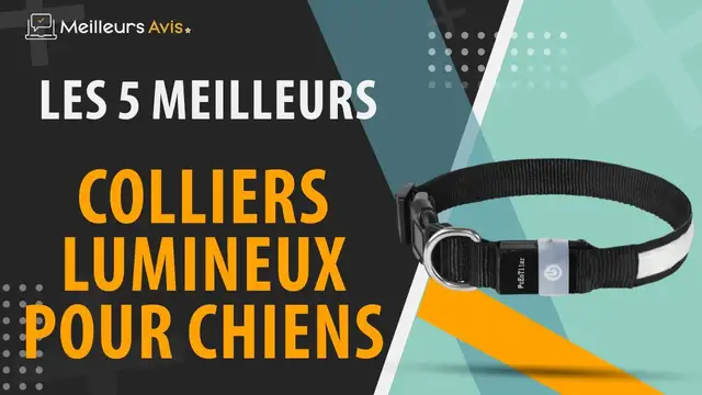 Video thumbnail for ⭐️ MEILLEUR COLLIER LUMINEUX POUR CHIEN - Comparatif 2024
