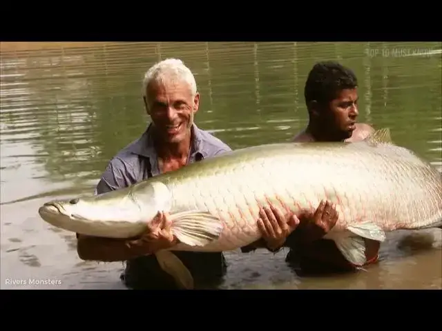 Video thumbnail for Deadliest Monsters