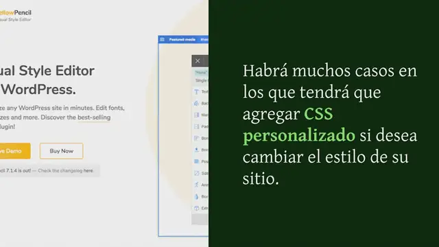 Video thumbnail for 12 mejores CSS personalizados WordPress Complementos para agregar estilo