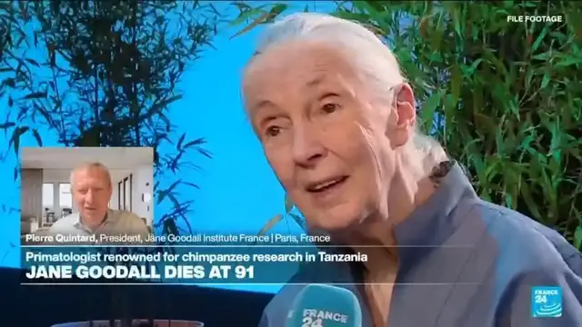 'Video thumbnail for Celebrated primatologist and conservationist Jane Goodall dies at 91'