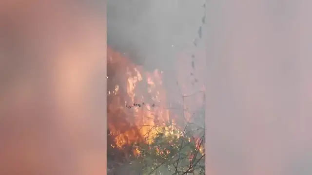 Video thumbnail for Spain: Spain deploys air and ground crews to battle La Vall d'Uixo wildfire.
