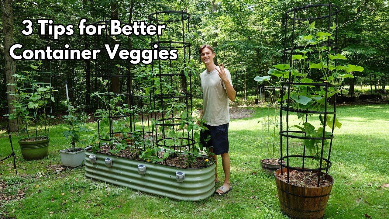 Video thumbnail for 3 Tips for Container Grown Veggies - Easier Care & Better Harvest
