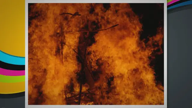 Video thumbnail for The Effects of Wildfires: A Closer Look