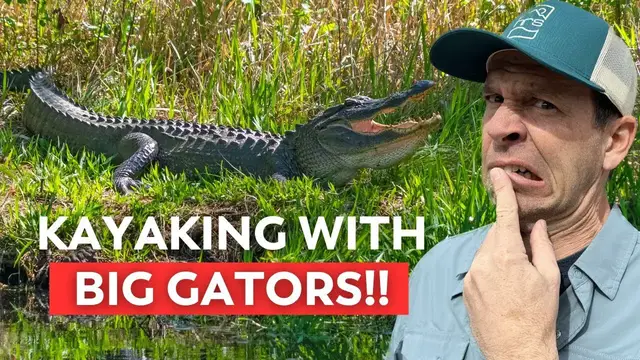 Video thumbnail for Kayak Camping in Alligator Country!  | A Multi_Day Paddling Adventure in the Okefenokee - Part 2