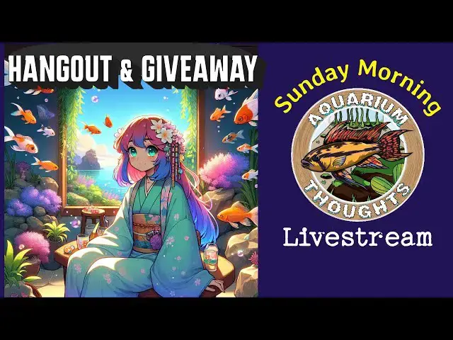 Video thumbnail for Hangout & Giveway Stream - April 21, 2024