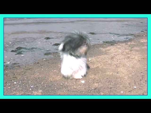 Video thumbnail for When the Ship comes in